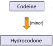 codeine-hydrocodone